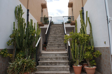 Yard with stairs and cactuses in pot © skymoon13