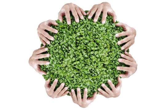 Hands holding around in a circle green shrubs isolated on white background with path/ paths. World Conservation concept. Save earth save life.