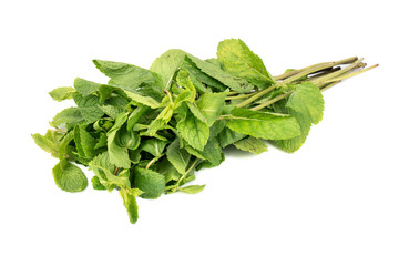 Twigs fresh mint
