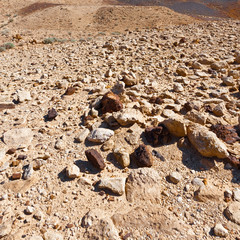 Desert
