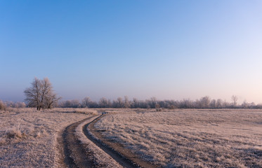 winter landscape of the first frost, frost on trees, morning sun
