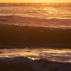 Fototapeta na wymiar landscape of summer sea, sea surf splashing wave with sunlight