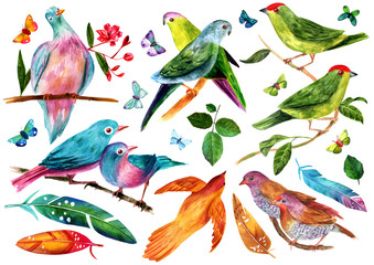 Set of watercolor birds with butterflies, leaves and feathers