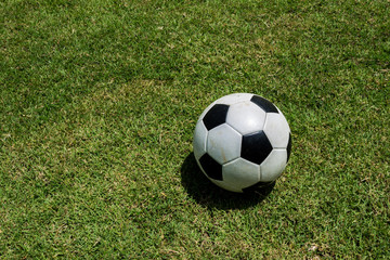 Fototapeta na wymiar Soccer or football