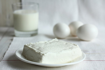 the cottage cheese in a plate on a napkin.Monochrome
