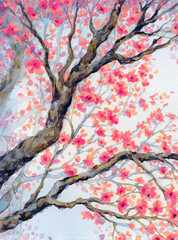 Obraz na płótnie Canvas Beautiful bird on flowering branch. Watercolor painting