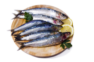 seafood, fish: sardines isolated on white