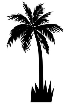 Palm Tree design