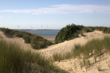 View from dunes to wind farm near Eastern Scheldt barrier, Zeeland, The Netherlands