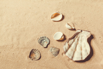 Fototapeta na wymiar closeup of sand pattern of a beach