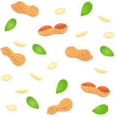 Vector seamless background peanut nut. A pattern of shelled peanuts nuts in shell and , leaves. Tasty Image on white   for printing  packaging, advertising  healthy foods