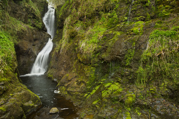Naklejka na ściany i meble Waterfall in the Glenariff Forest Park in Northern Ireland