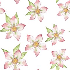 Simple floral pattern. Seamless background. Hand drawn watercolor flowers 1