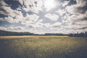 Countryside landscape with plains of flowers