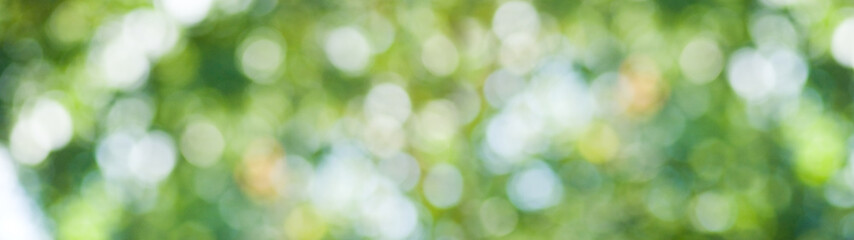 Obraz premium image of natural abstract background closeup