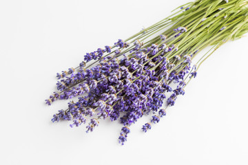 Lavender flowers isolated on white background