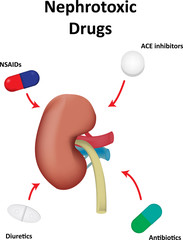 Nephrotoxic Drugs