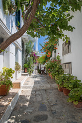 Scopelos - Straße in der Stadt 01