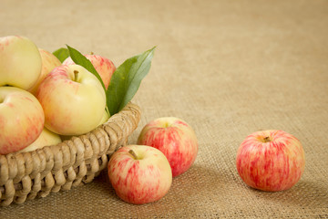 ripe apples in a beautiful wicker basket