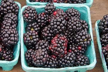 Ripe large blackberries in market containers close-up