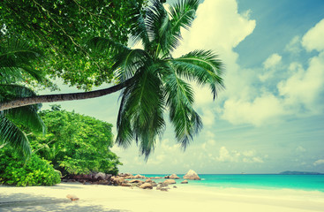 Fototapeta na wymiar tropical Seychelles beach