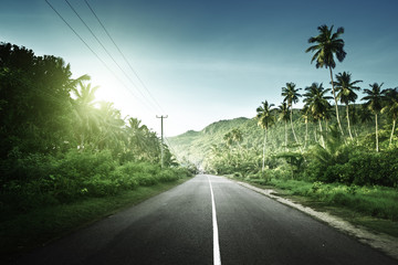 Naklejka premium empty road in jungle of Seychelles islands