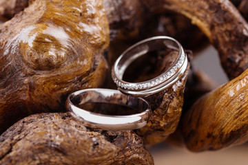 Wedding rings on wood
