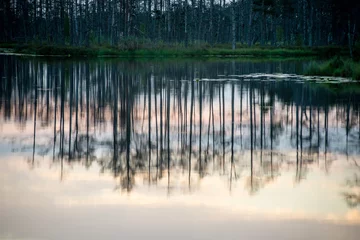 Fototapete Bereich abstrakte Reflexionen der Bäume im Wasser