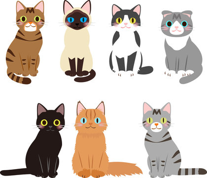 155 最適な ブチ猫 画像 ストック写真 ベクター Adobe Stock 155 最適な ブチ猫 画像 ストック写真 ベクター Adobe Stock