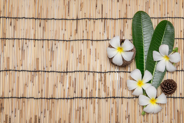 Plumeria and leaf on bamboo mat