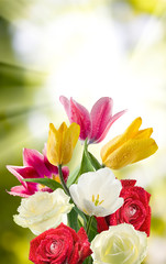 image of beautiful flowers in the garden closeup