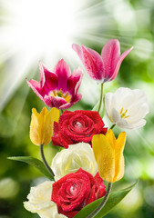 Obraz na płótnie Canvas image of beautiful flowers in the garden closeup