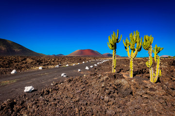 Road in the Fire Mountains, part of Timanfaya National Park, Lanzarote, Canary Islands, Spain - obrazy, fototapety, plakaty