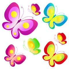 color butterflies,isolated on a white