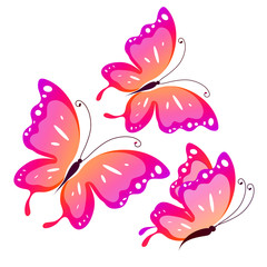 color butterflies,isolated on a white