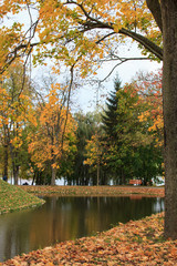 Autumn park in Nesvizh,Belarus 