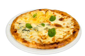 Pizza with cheese. Pizza on a white background.