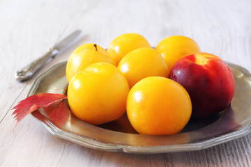 Yellow plums and red nectarine