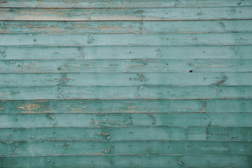 Obraz premium green grunge wood panels