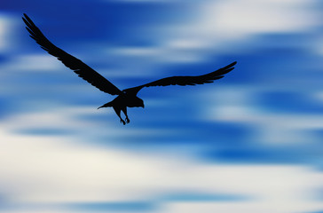eagle silhouette