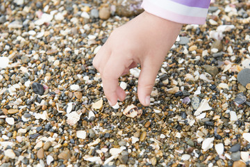 貝殻を拾う子供の手
