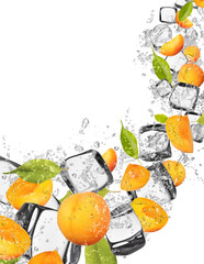 Fototapeta na wymiar Apricots in water splash on white background