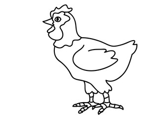 kura,kurnik,farma © monikakosz