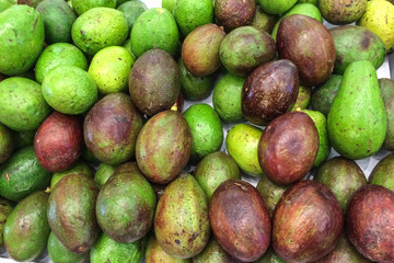 Avocado fruit background