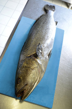 Shade-Fish on cutting board