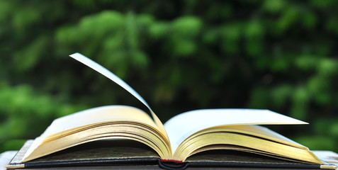 Open book with golden pages on wooden table on natural backgroun