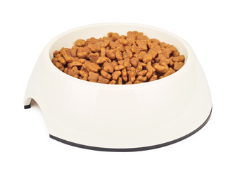 Dry Cat Food In White Bowl