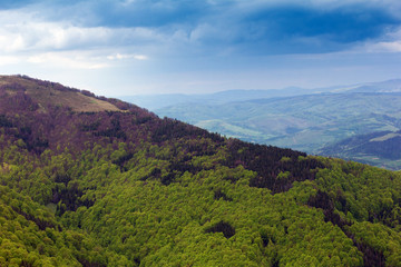 landscape of a big green mountain with trees