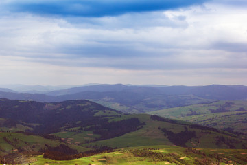 Fototapeta na wymiar landscape of a Carpathians mountains with fir-trees and grassy v