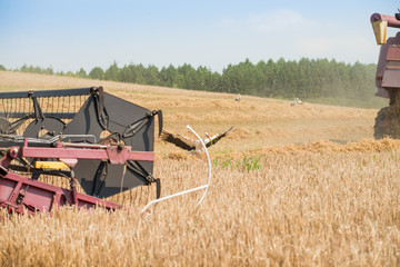 Fototapeta na wymiar Harvesting grain, agricultural work in the field